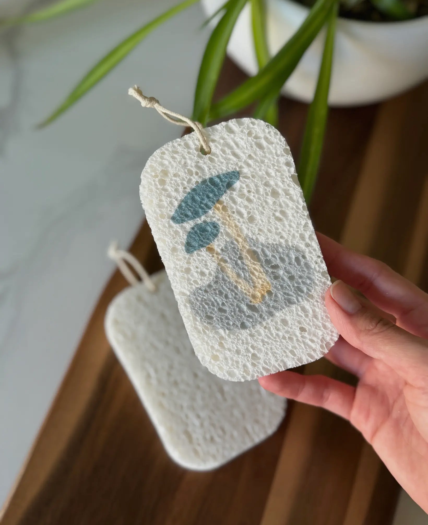 ME Mother Earth Pop Up Sponges