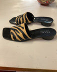 ZEBRA ISAAC SLIDES 9