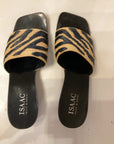 ZEBRA ISAAC SLIDES 9